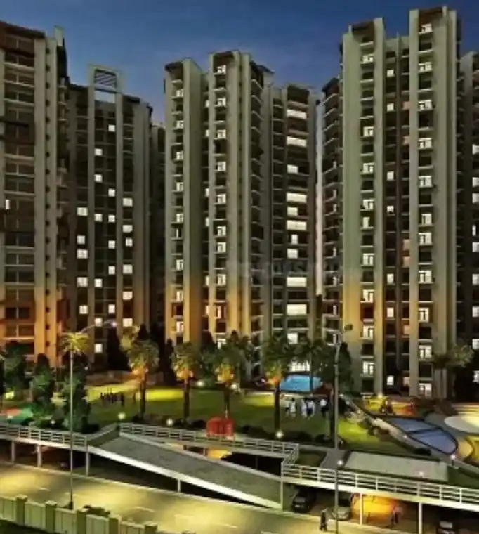 Homfix Dsd